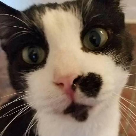 Zboudreaux99 Zach Boudreaux Github - Premium Abstract Background Gallery - 8K