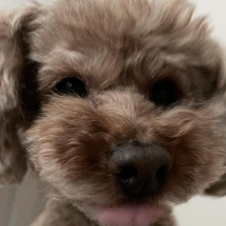 Nina Weng Ninaweng Github - Best City Pictures in Full HD