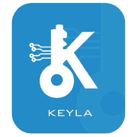 Cayla Key Cayla Key Github - 4K Vintage Pictures for Desktop