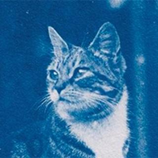 Malindyr Malin Github - Premium Mountain Background Gallery - Ultra HD