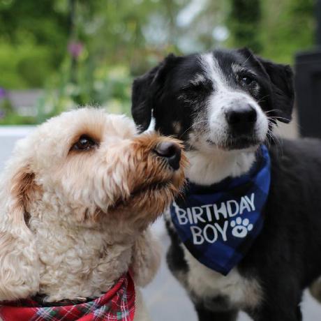 Create Extended Cogwheels Minecraft Mod