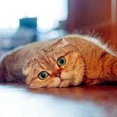 Navya1370 Navya M Github - Download Incredible Landscape Illustration | 8K