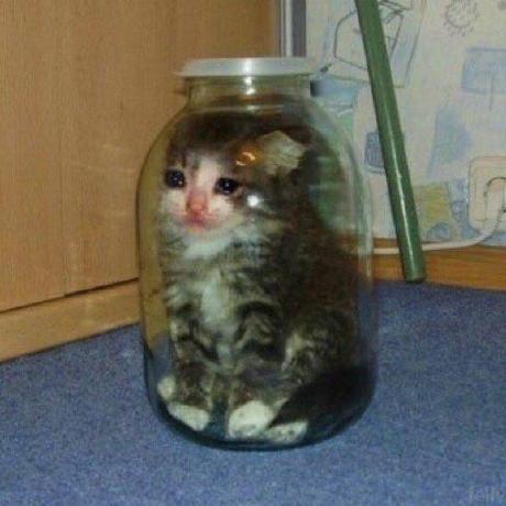 Binh0000 An Binh Github