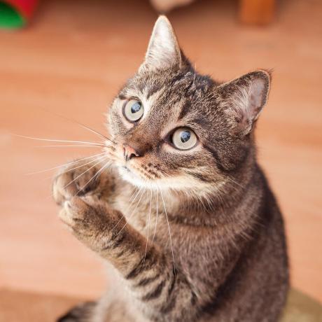 Znshje Zsj Github - Beautiful 8K Mountain Backgrounds | Free Download