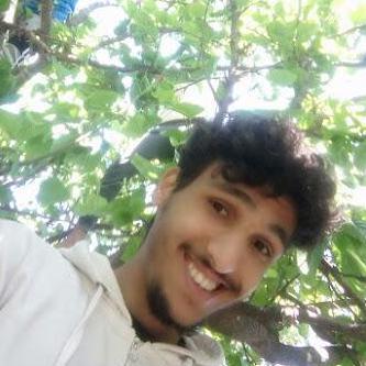 Github Wael Shaaban Carp Portfolio - Mountain Illustration Collection - High Resolution Quality