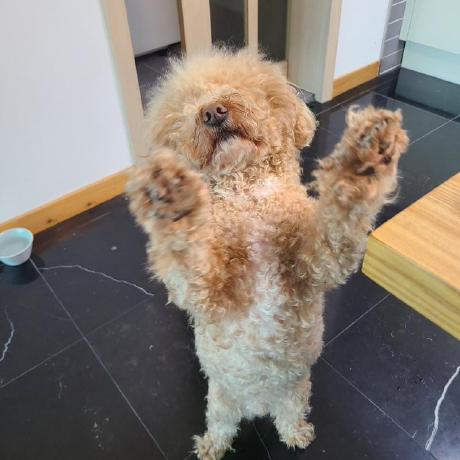 Ssunghyeon Sunghyeon Park Github - Premium Sunset Photo Gallery - 8K