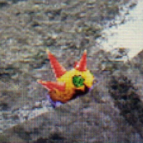 Github Paige K Afk Forest Witch Forest Witch Is A Stealth Horror - High Resolution Gradient Images for Desktop