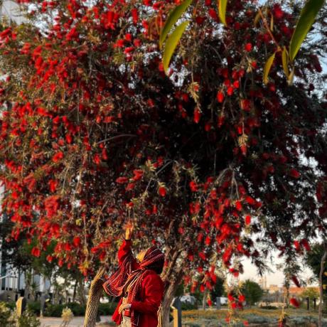 Boutarga Hiba Github - Gradient Images - Professional HD Collection