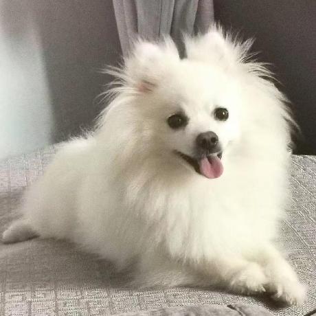 Github Xieyuquanxx Community Correction Springcloud - Beautiful Minimal Art - Mobile