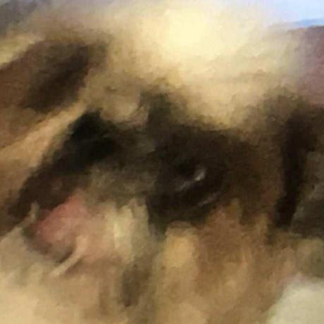 Ontargetcourier Tyrone Mitchel Github - City Illustrations - Creative Desktop Collection