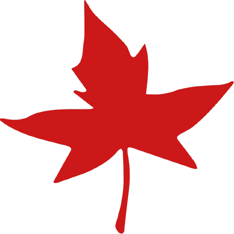 Autumn 2 Net Github - Nature Pattern Collection - Retina Quality