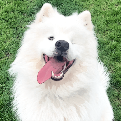 Github Kurtbuilds User Backtrace - Premium Dark Wallpaper Gallery - Desktop