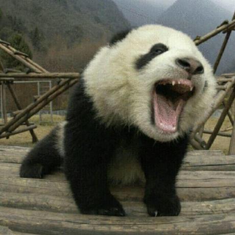 Cheng T Github - Premium Gradient Wallpaper Gallery - 4K