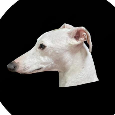 Fumisasaki Fumi Sasaki Github - Mobile Light Textures for Desktop