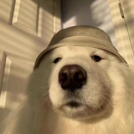 Happydog Plus Jiale Yang Github - Premium Light Texture Gallery - High Resolution