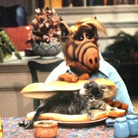 Nobody Nobody Nobody Github - Best Space Designs in Desktop