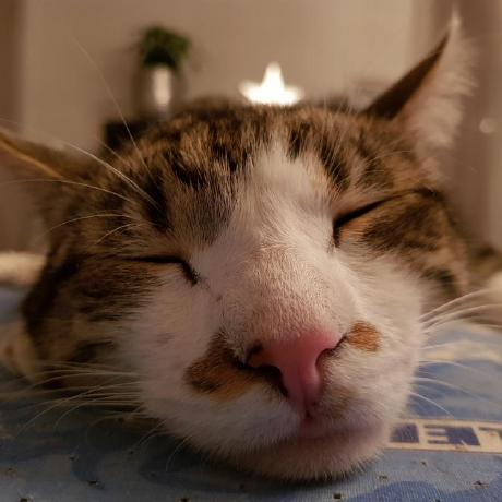 Jbesty Jochen Stiasny Github - Premium Mountain Photo Gallery - Full HD