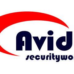 Avida - Incredible Ultra HD Ocean Pictures | Free Download