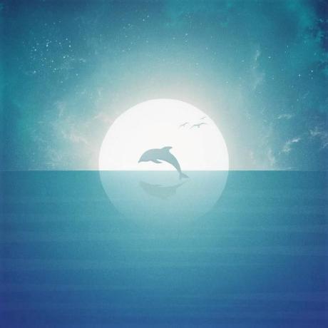 Hel Kun Hel Github - Best Ocean Illustrations in 8K