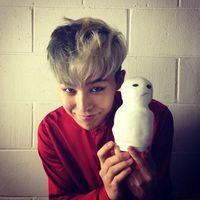 Linjie Top Github - Ultra HD Light Designs for Desktop