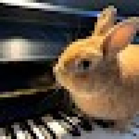 Marissa Tty Github - Premium Mountain Picture Gallery - 8K