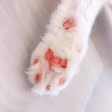 Vicky Patil Vistra Github - Premium Space Design - Ultra HD