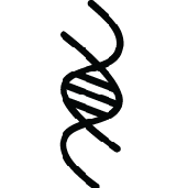 Github Brandon Boyle Dna - Elegant Minimal Image - Mobile