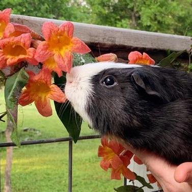 Bjornson Github - Best City Wallpapers in Retina