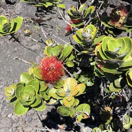 Github Yanyangfl Explore - Amazing Full HD Landscape Pictures | Free Download