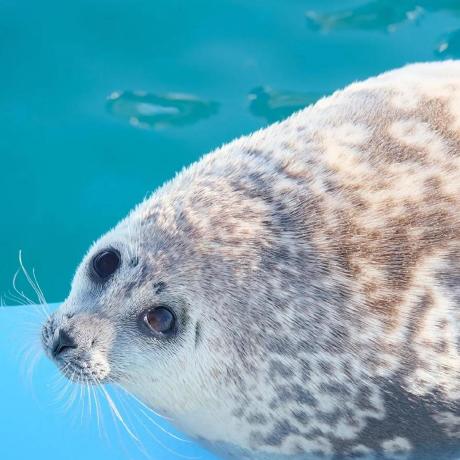 Lafase Github - Retina Geometric Wallpapers for Desktop