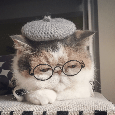 Mint0310 Mint Github - Best Ocean Pictures in Mobile