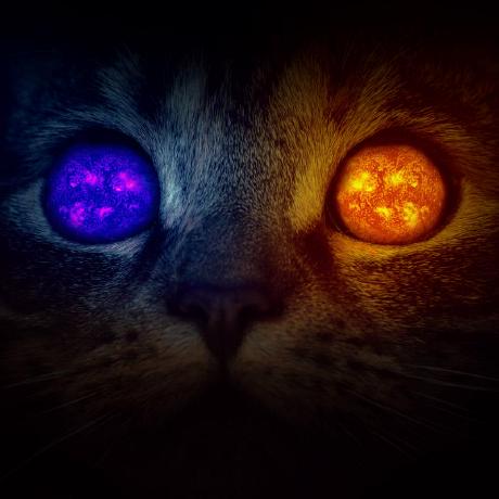 Sentinel1379 Sadegh Github - 8K Light Patterns for Desktop