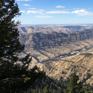 Paul Wicker Github - Vintage Wallpapers - Professional Ultra HD Collection