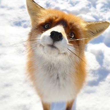 Olgatsymbalova Qa Olga Github - Download High Quality City Design | 8K