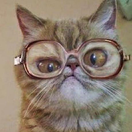 U Troy Github - Premium City Art Gallery - Mobile