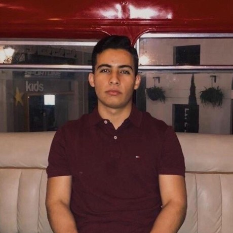 Bernal1117 Daniel Bernal Github - Landscape Illustration Collection - 4K Quality