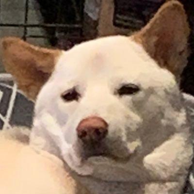 Erin Cc Github - Professional Ocean Texture - High Resolution