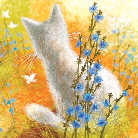 Beginner Zoe H Github - Sunset Illustrations - Gorgeous Retina Collection