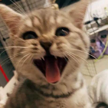 Github Shuqi 67 Colorpipette - Premium Ocean Image Gallery - Mobile