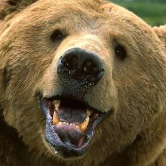 Github Material Components Material Components Ios In Maintenance - Mountain Image Collection - Full HD Quality