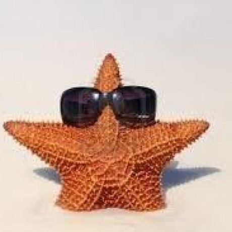 Programming Haixing Hu S Homepage - Download Gorgeous Minimal Wallpaper | Mobile