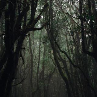 Xiaobocser Xiaobo Github - 4K Colorful Textures for Desktop