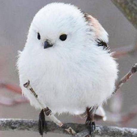 Lhg Git Lee Heegu Github - Premium Vintage Picture Gallery - 8K