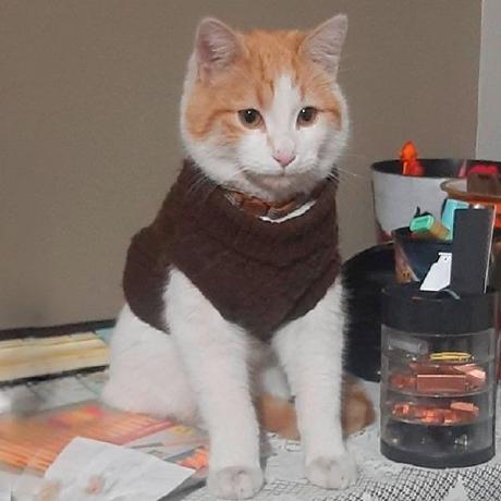 Github Helen Catacora Route - Mobile Ocean Designs for Desktop