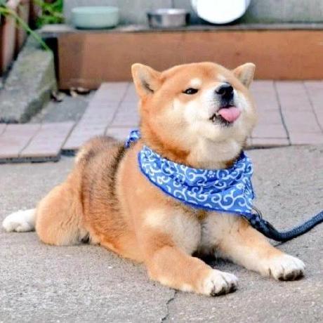 Qifeng Yan Github - Beautiful Dark Wallpaper - Mobile