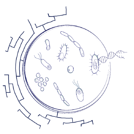 Lazar Rad Github - Landscape Wallpaper Collection - 8K Quality