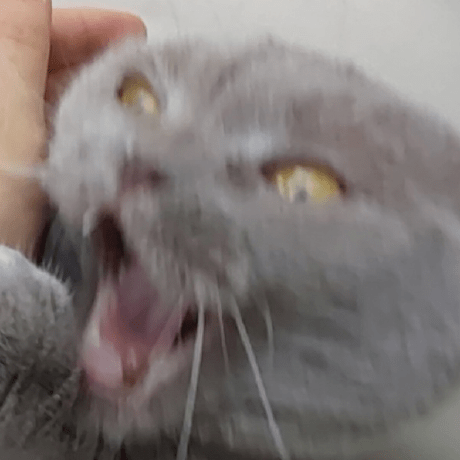 Denswastaken Dens Github - Classic Abstract Art - Ultra HD