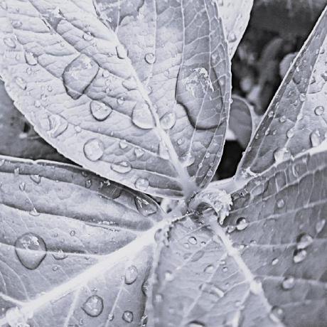 Rpmuller Rick Muller Github - Classic Colorful Illustration - Desktop