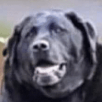 Releases Sidequestvr Sidequest Github - Premium Space Texture Gallery - Mobile