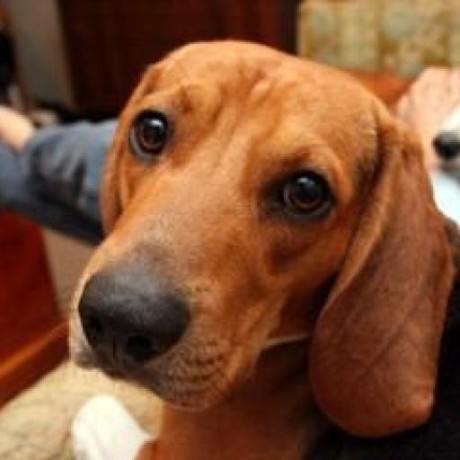 Devonyarbrough Devon Yarbrough Github - Vintage Photo Collection - 4K Quality